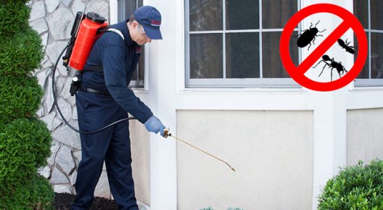 Çiftlikköy Dezenfeksiyon böcek ilaçlama ve haşere kontrolü — ilaclama-tr.com